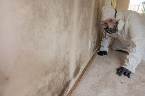 Carpet water damage restoration in Dover Beaches North, NJ